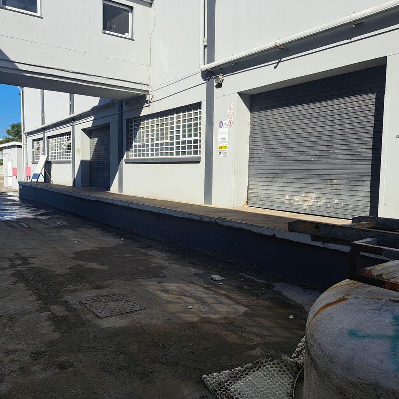 To Let Commercial Property for Rent in Neave Industrial Eastern Cape